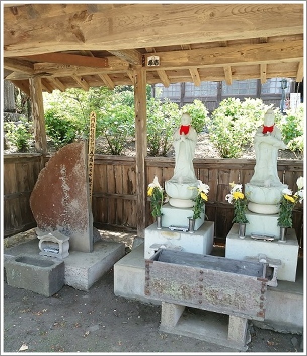 �{����O�ɂ��邨�n������i��ώ��j