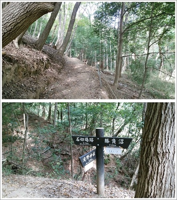 ���_�ЁE���������߂��ɂ���i�M�ːΐ؂��Ձj