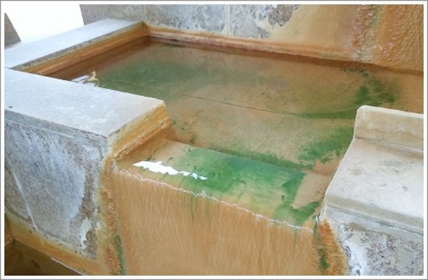 ���ʂ��L�x�Ȉ镔����i�����j