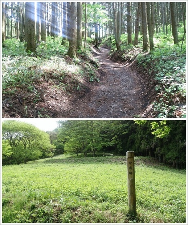 ��C��Ղɑ����o�R���ƒ����