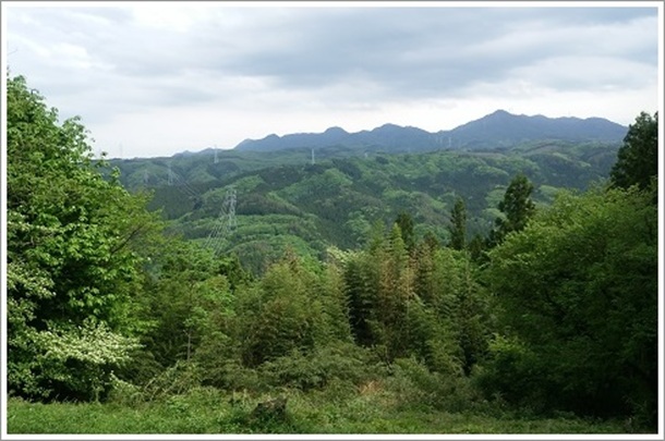 ��C��{�ێ��ӂ��猩���쑤�̌i�F