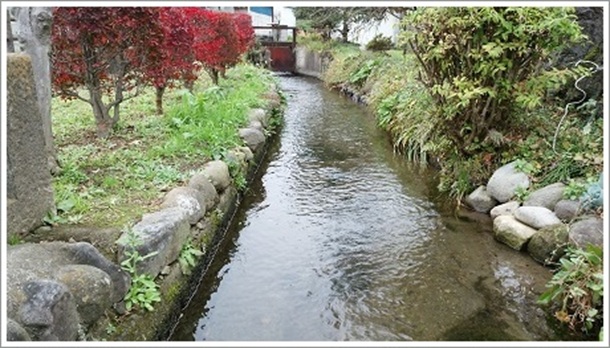 ��ł̋������Ԃɗ�����