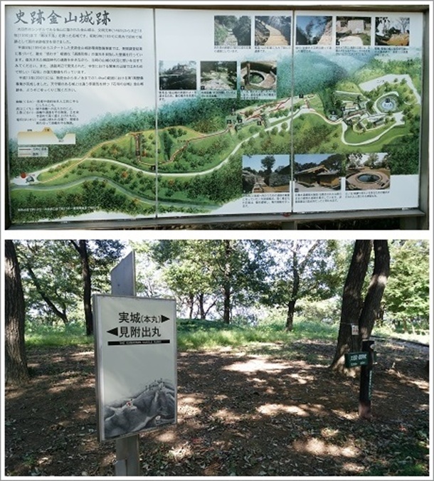 �j�Ջ��R�隬�̌����}�Ŕi�����o�ہj