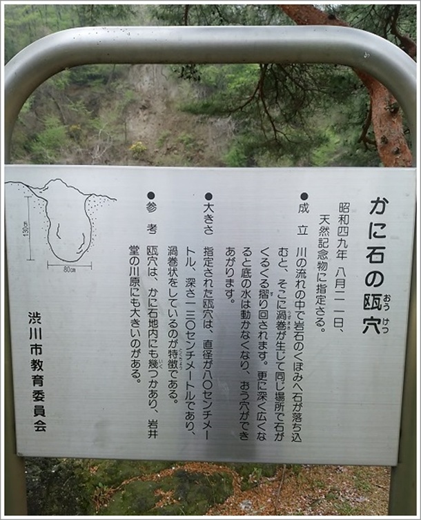 ���ɐ��M���̈ē���