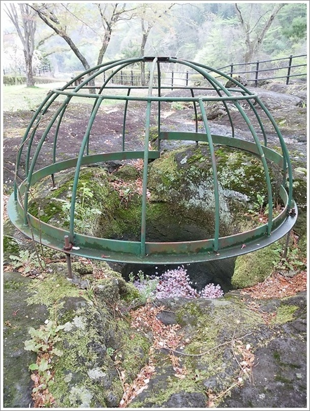 ���ɐ��M���͕ʖ��|�b�g�z�[��