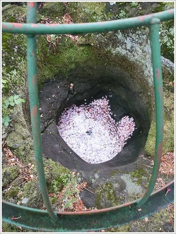 ���ɐ��M���̒�