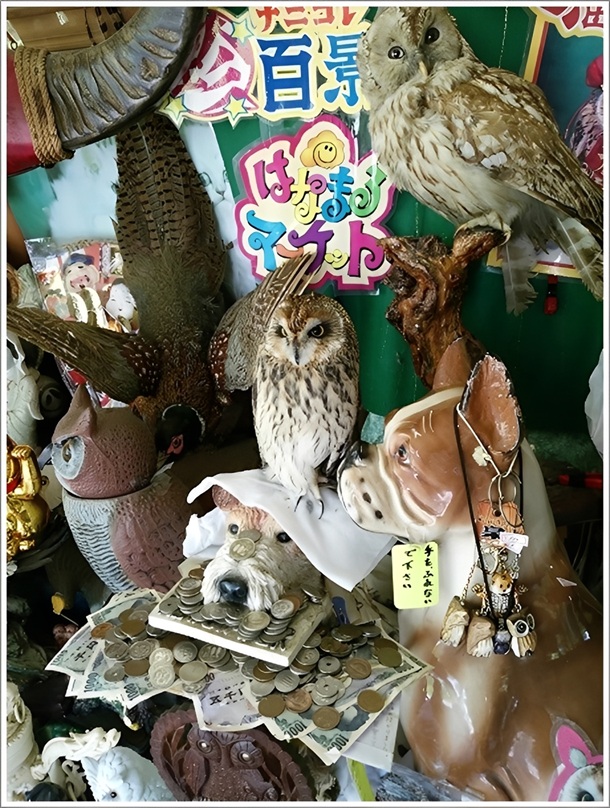 高崎白衣大観音参道の土産屋