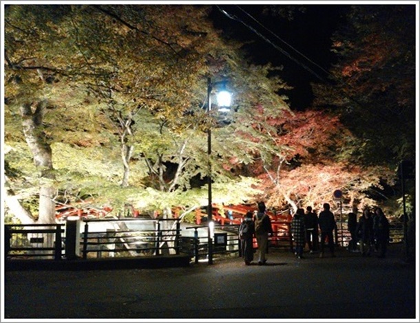 ���C�g�A�b�v�ɓ��키�ɍ��ۉ��򓒌��u�͎����v