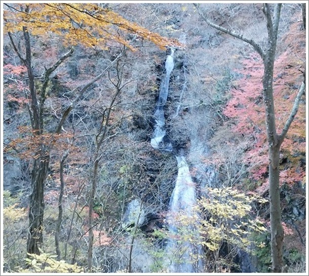 ����96���̏�������e�z