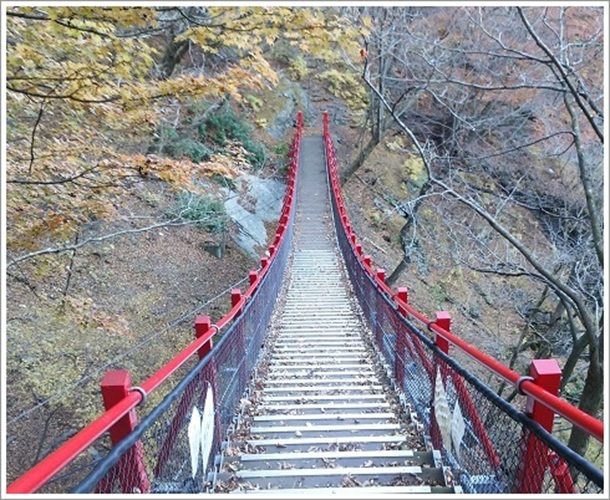 �g�t�Ƃ���������