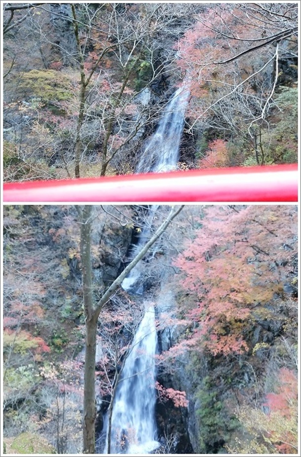 �������������猩���������