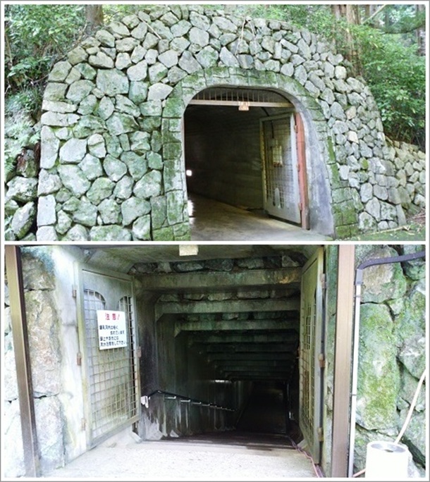 �����̗��ߓ���