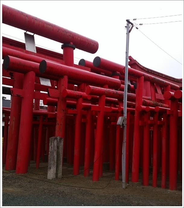 �����א_�ЎQ�񒹋�