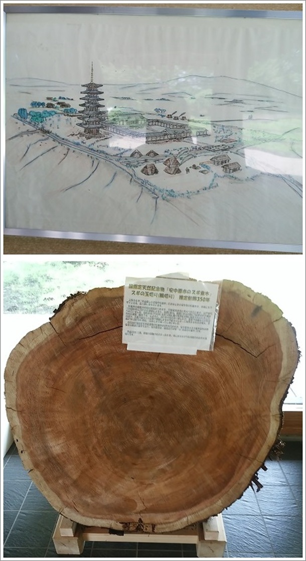 �������ՃK�C�_���X�{�݂̏�썑������