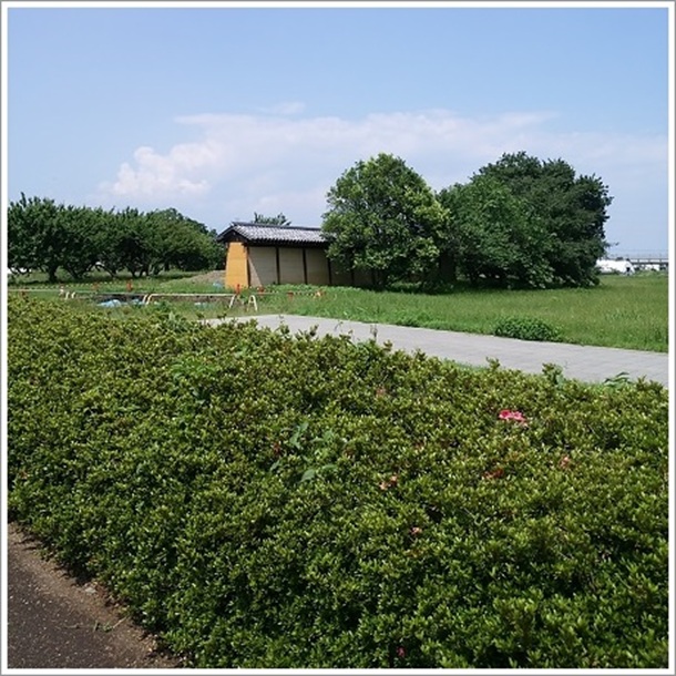 ����s�̏�썑�����Ձi���w��j�Ձj