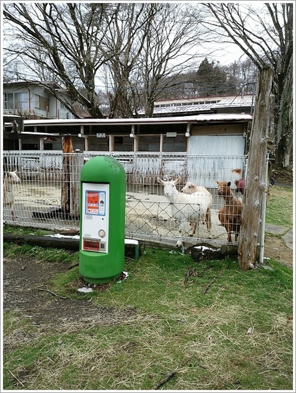 �_�Öq��̎R�r