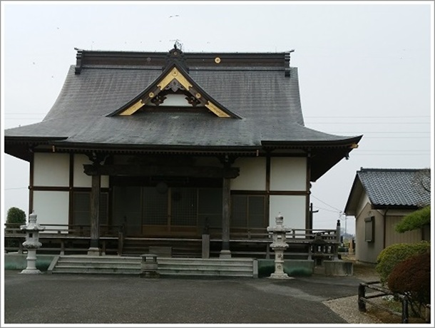 �V��@����R�{�掛�̖{��