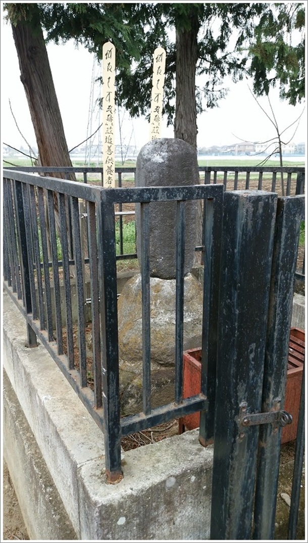 ���蒉���̂���