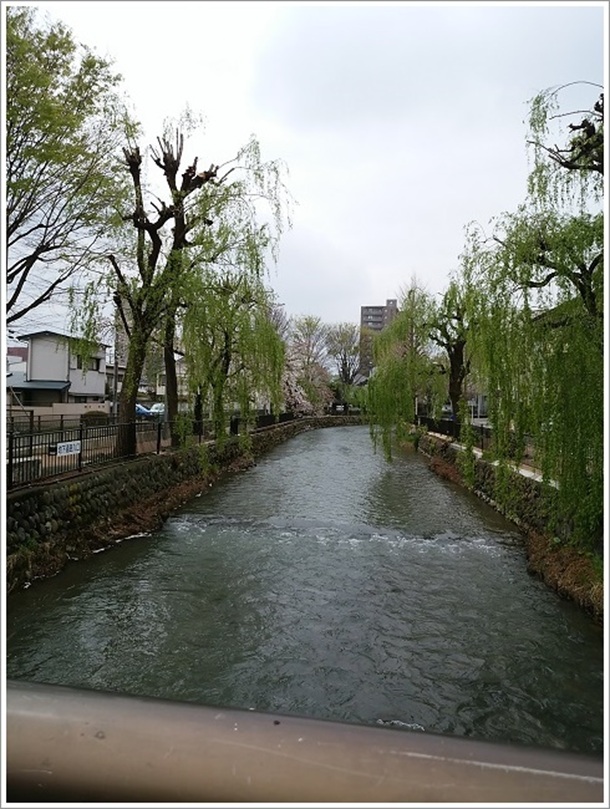 広瀬川厩橋(うまやばし)