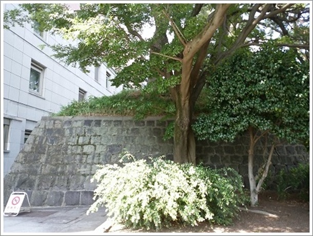 前橋城(本丸土塁)