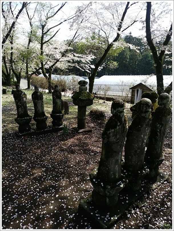 ���V��̕S�ω��i�Z�n���j