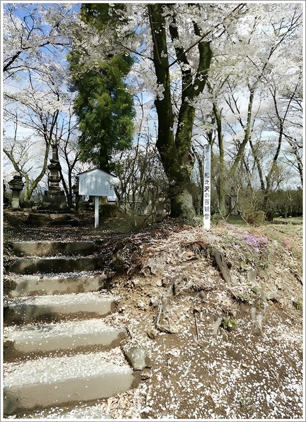 �����U���č�����̏��V��S�ω�