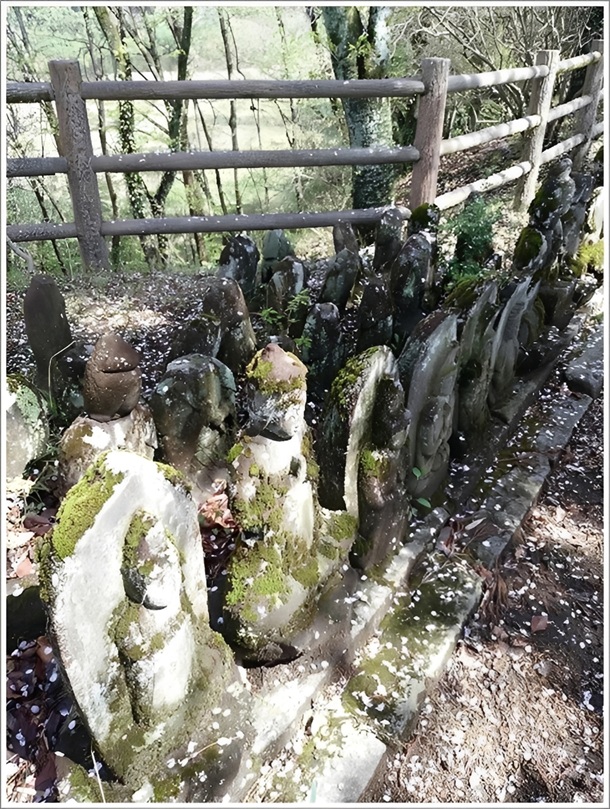 ���V��̕S�ω��l