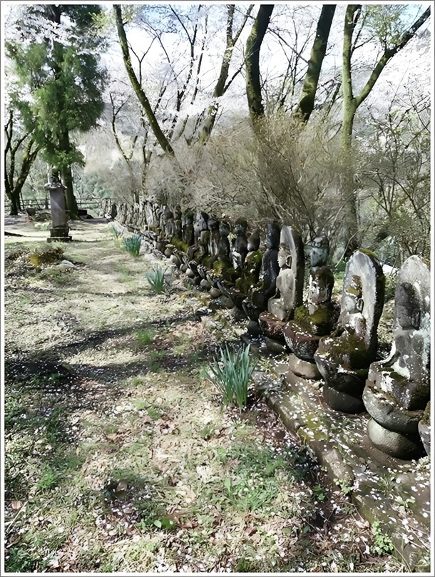 ����������ԏ��V��̕S�ω�