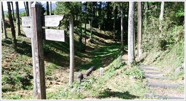 �O�����x