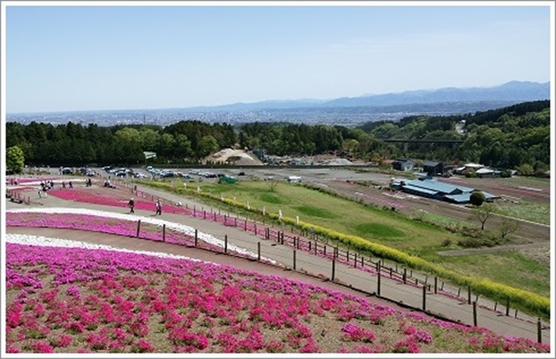 �݂��Ǝō��������猩���鍂��s�X�n