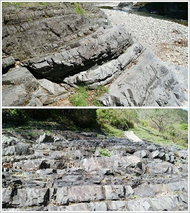 �{���̋t�]�w������i���m�c�W�I�p�[�N�j