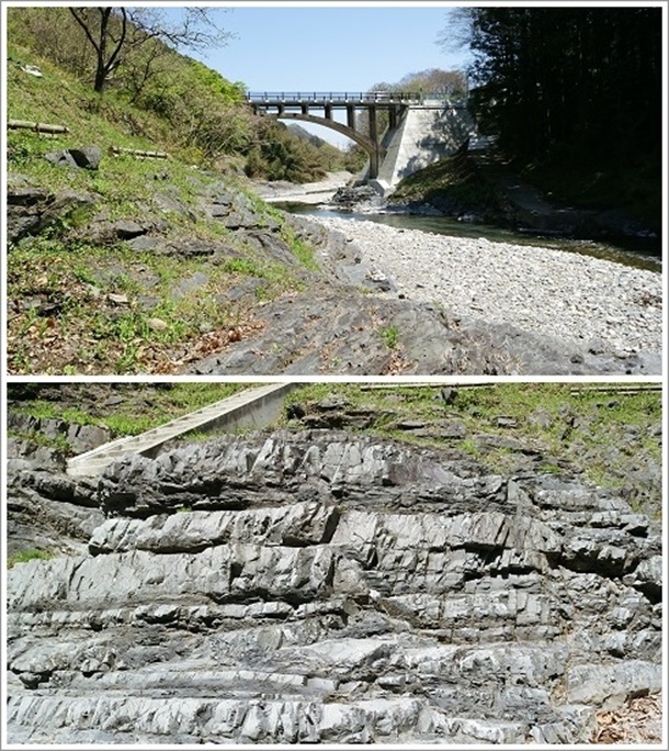 ���N���Ɠ�q��Ƌ{���̋t�]�w