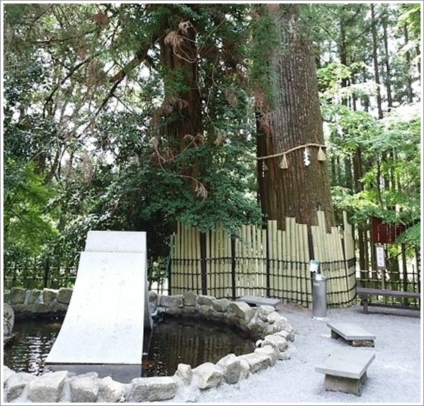 ����̊ω����i����ω��j