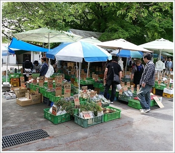 ��^���ԏ�Ŕ̔����Ă����؁i����ω��j