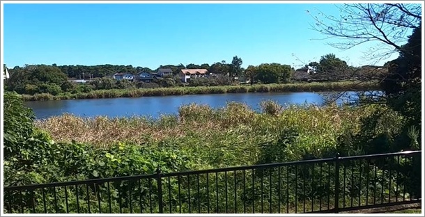 �Ηю�����