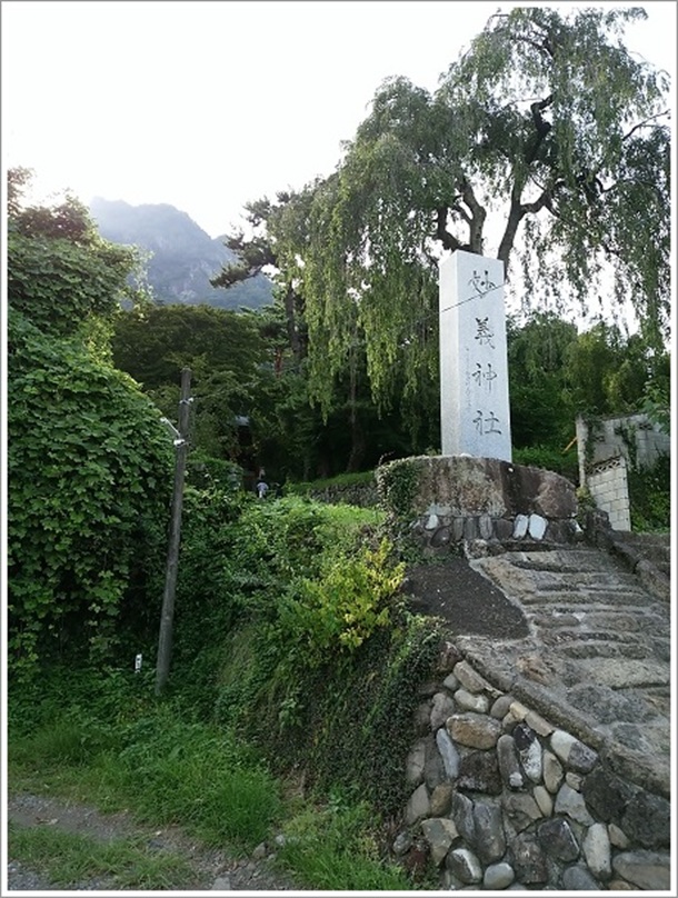 ���`�_�Ђ̔�Ɠ���