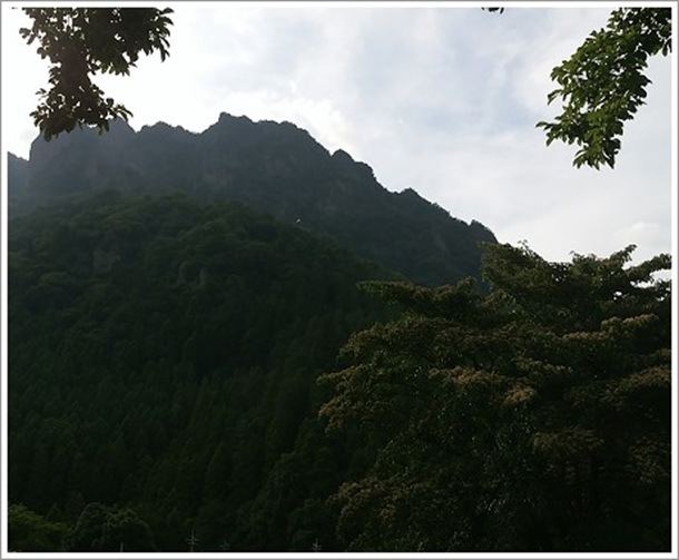 ���`�R�̑�̎�