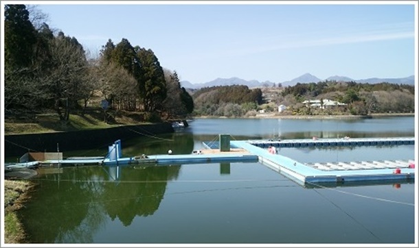 ��΂̂킩�����ނ��V��