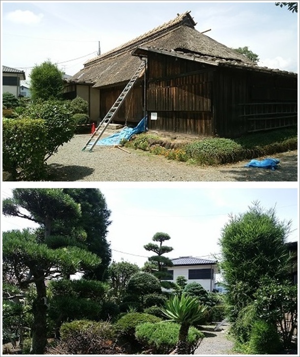 �����s�ɂ���V�����̋���ƒ뉀