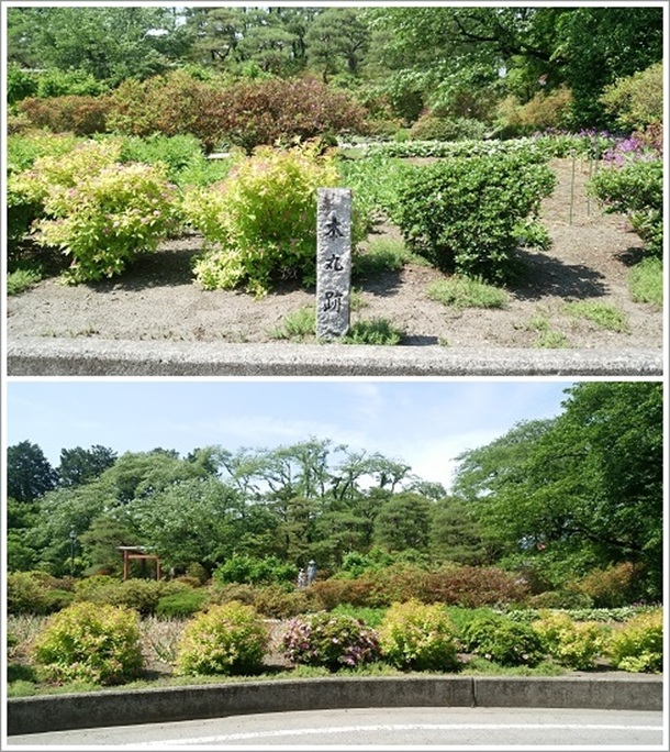 ���c�隬�{�ې�