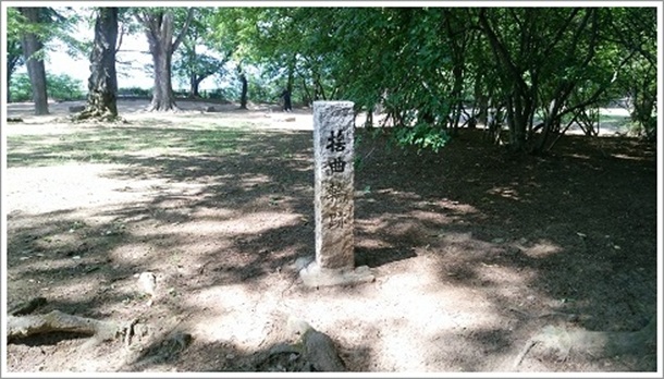 �̋ȗցi���Ă����j���c�隬����