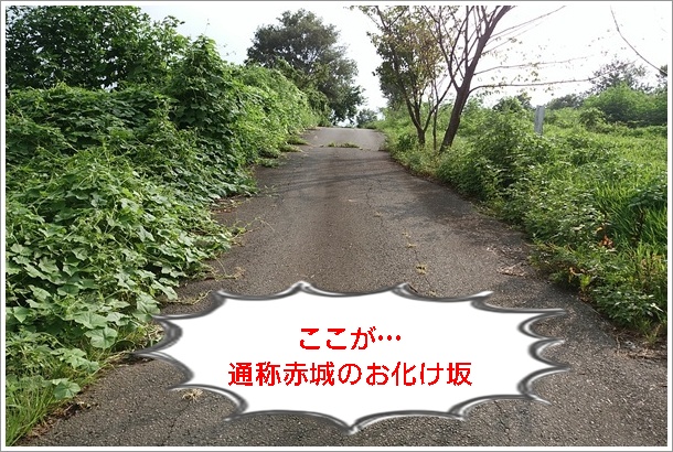 通称、群馬県赤城山のおばけ坂