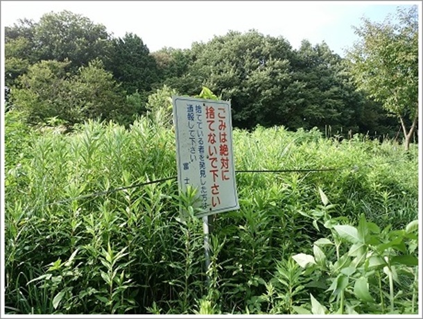 お化け坂でゴミは捨てるな