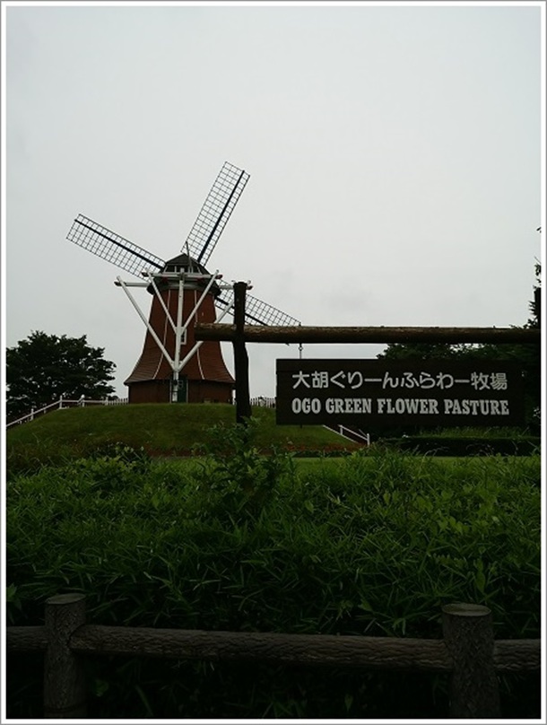 ��ӂ���[��ӂ��[�q��i�I�����_�^���ԁj