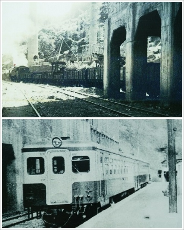 �����̑��q�w�i�����������j