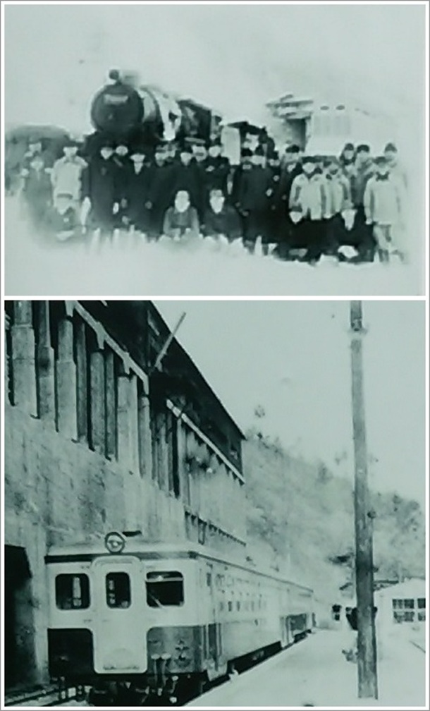 ���􂵂Ă������̑��q�w�i�����������j