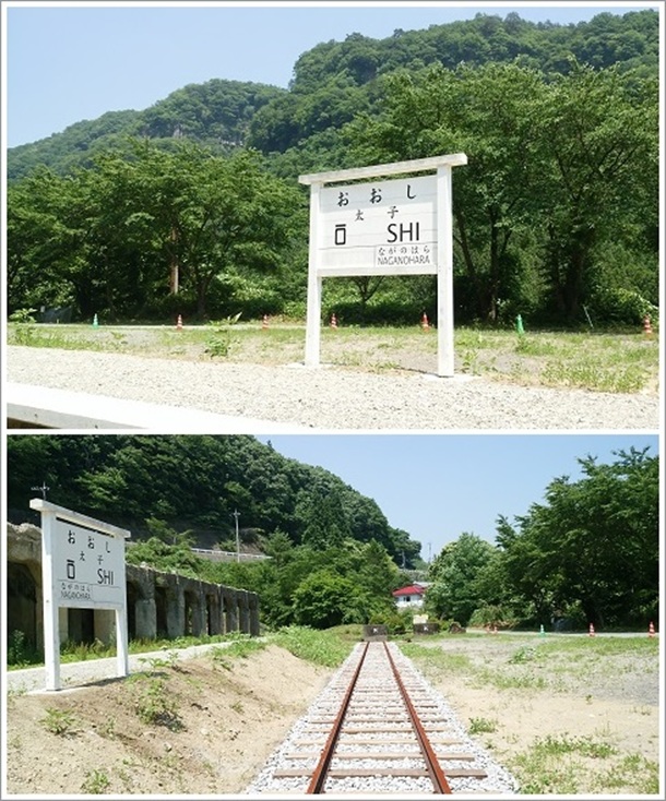 ���q�w�̎��͒��쌴�i�w�\���Ŕj