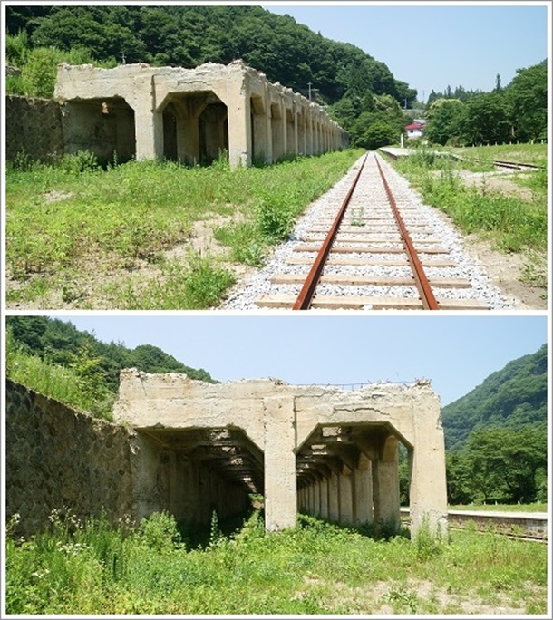 ���q�w�i�����������j�̐��H