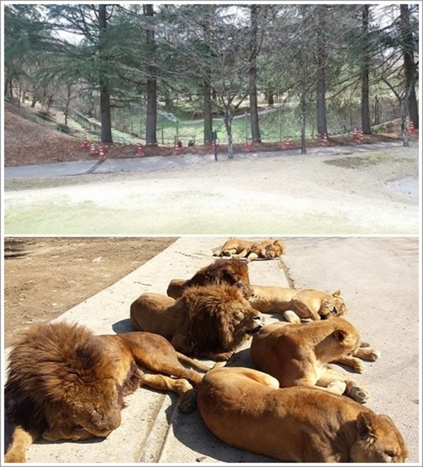 �Q�n�T�t�@���p�[�N���אڂ��閼���z�[��