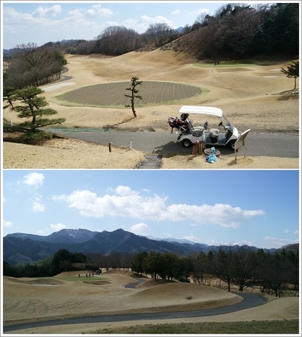 21�Z���`�����[�x���S���t�R�[�X��8�ԃz�[���i�p�[3�j